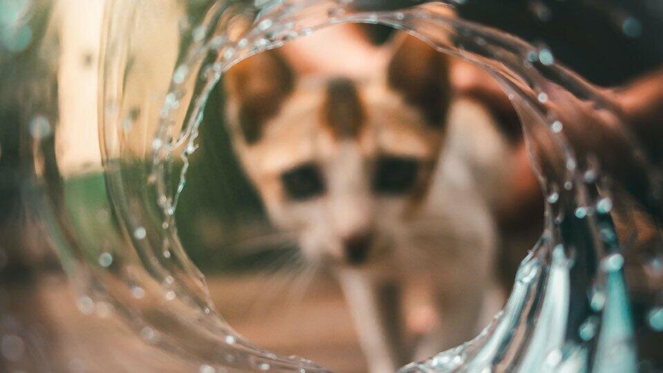 Фото: © Unsplash