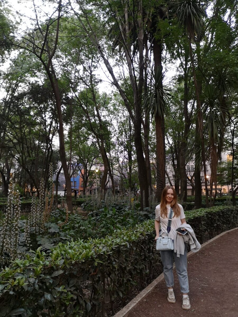 Парк Мексики (Parque Mexico) в районе Кондеса, Мехико, март 2022г.