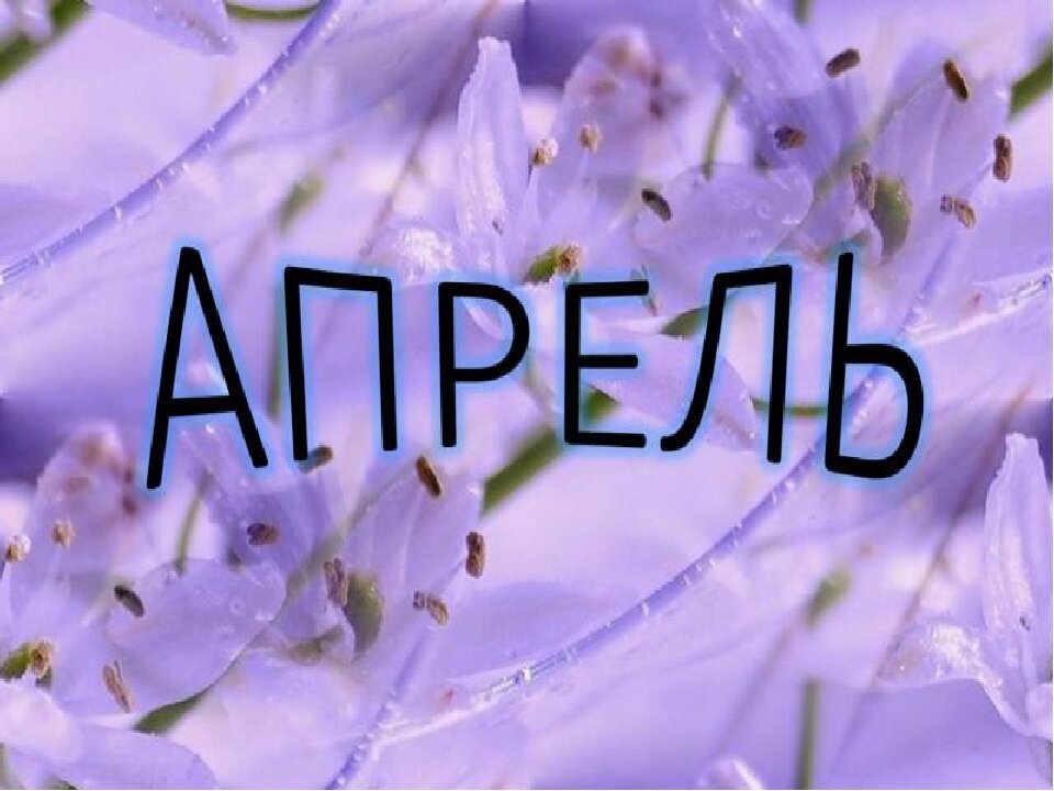 Яндекс картинки 