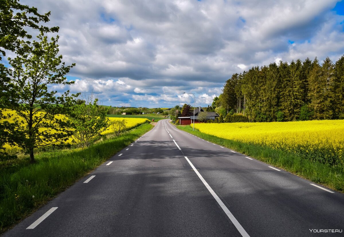 фото из открытых источников интернета