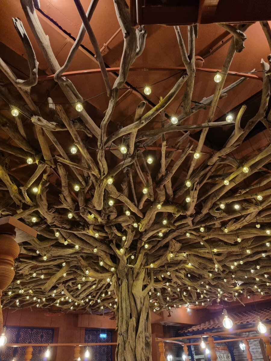 Дерево Платан в центре зала