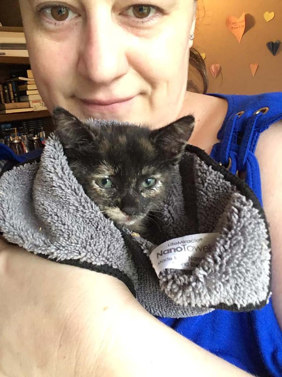Кристин и котенок дома. Источник фото: https://www.portaldoanimal.org/apos-ver-gatinho-preso-em-barreira-de-rodovia-mulher-para-o-transito-para-o-conseguir-resgatar/