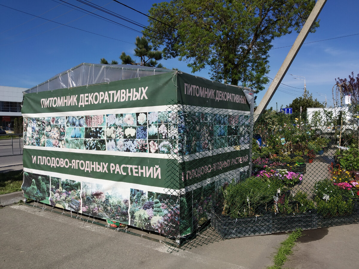 Фото автора публикации (1 из 3)