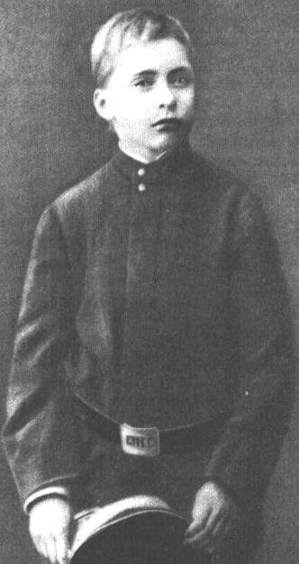 Презентация по литературе 10 класса "Жизнь и творчество М.Е. Салтыкова-Щедрина"