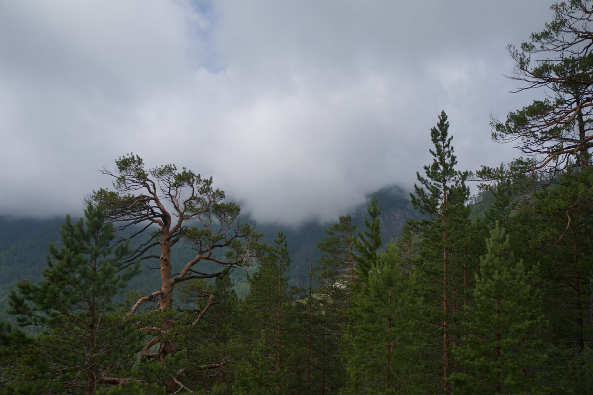 Пик 12. Инфракрасный прожектор 850нм. Пик 12 прожектор. Пик 12. Ик прожектор ик пик.