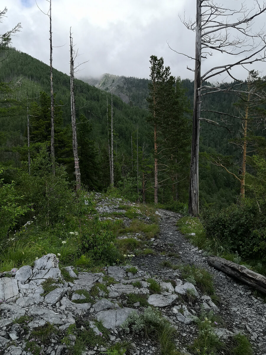 Пик 12 прожектор. Ик-прожектор пик 12 (d126 dominant ii). Пик 12. Пик 12. Пик 12.