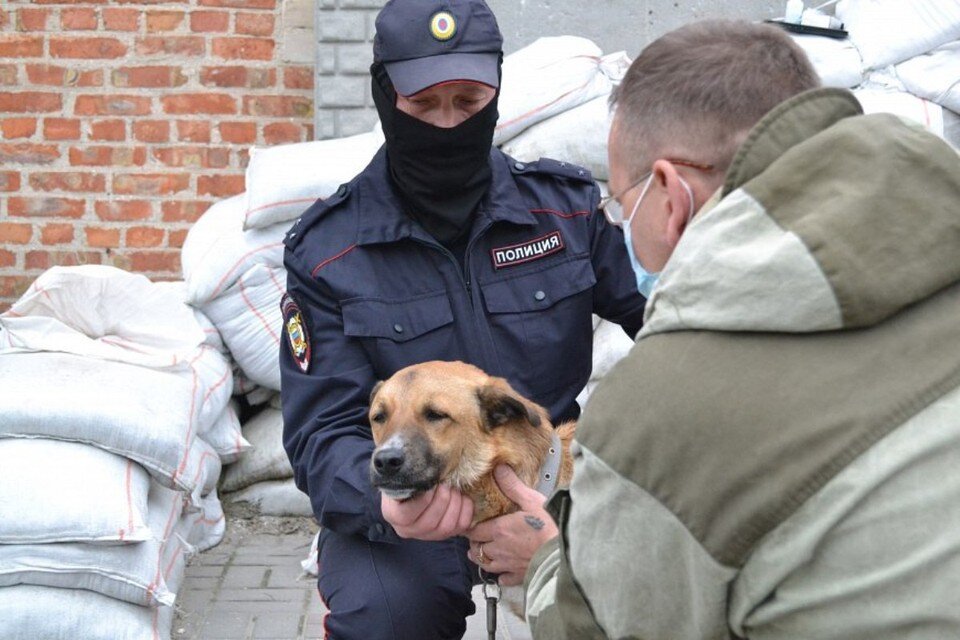    Полицейский со своим новым другом Левой. Фото: МВД по Красноярскому краю