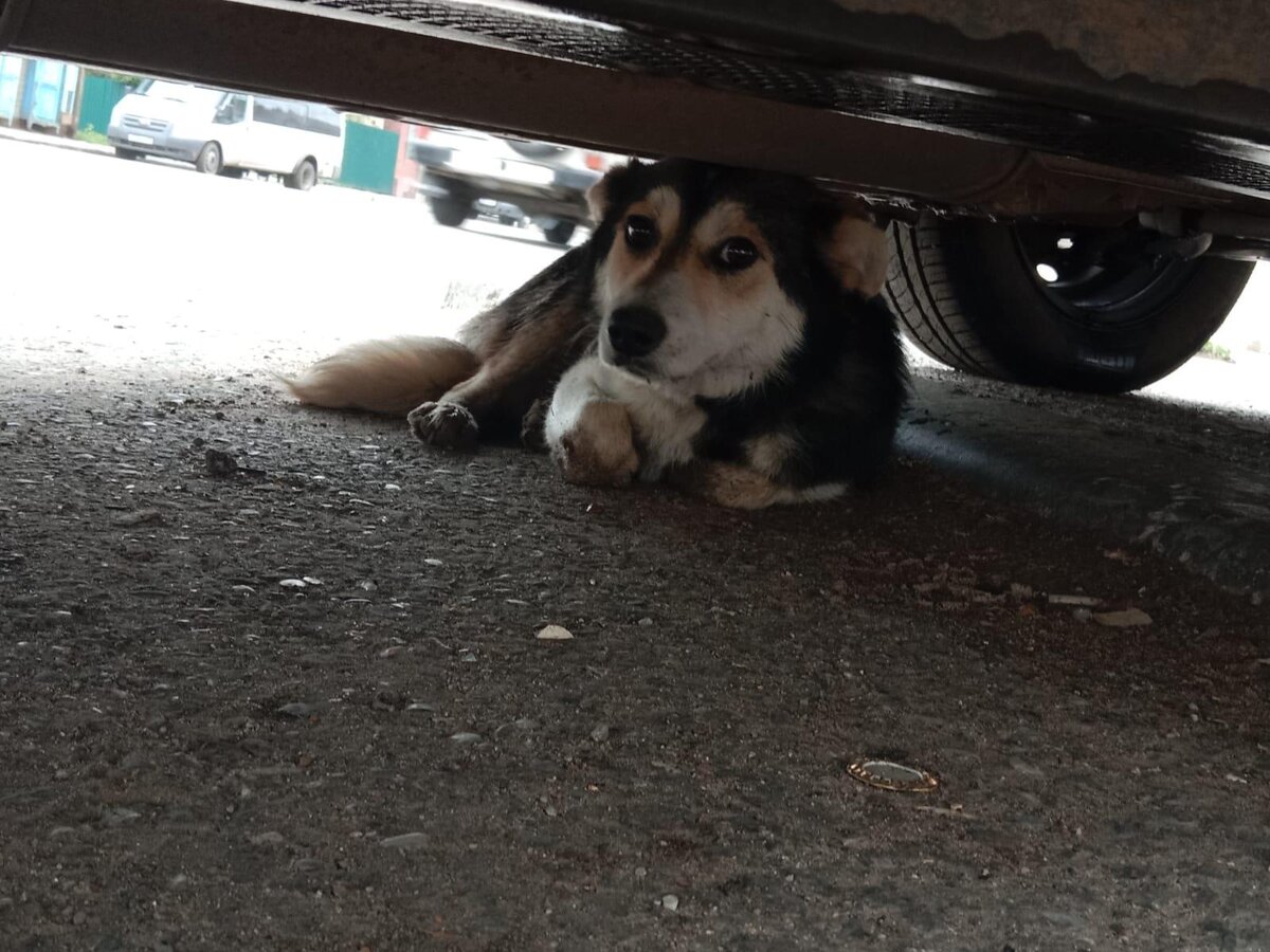 спасенная душа астрахань дзен