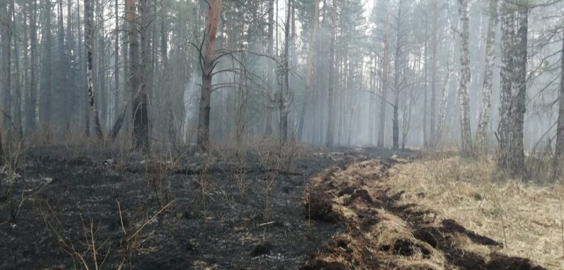
Фото со страницы «Природный парк «Оленьи ручьи» во «ВКонтакте»