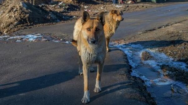 Источник фото: baikal24.ru