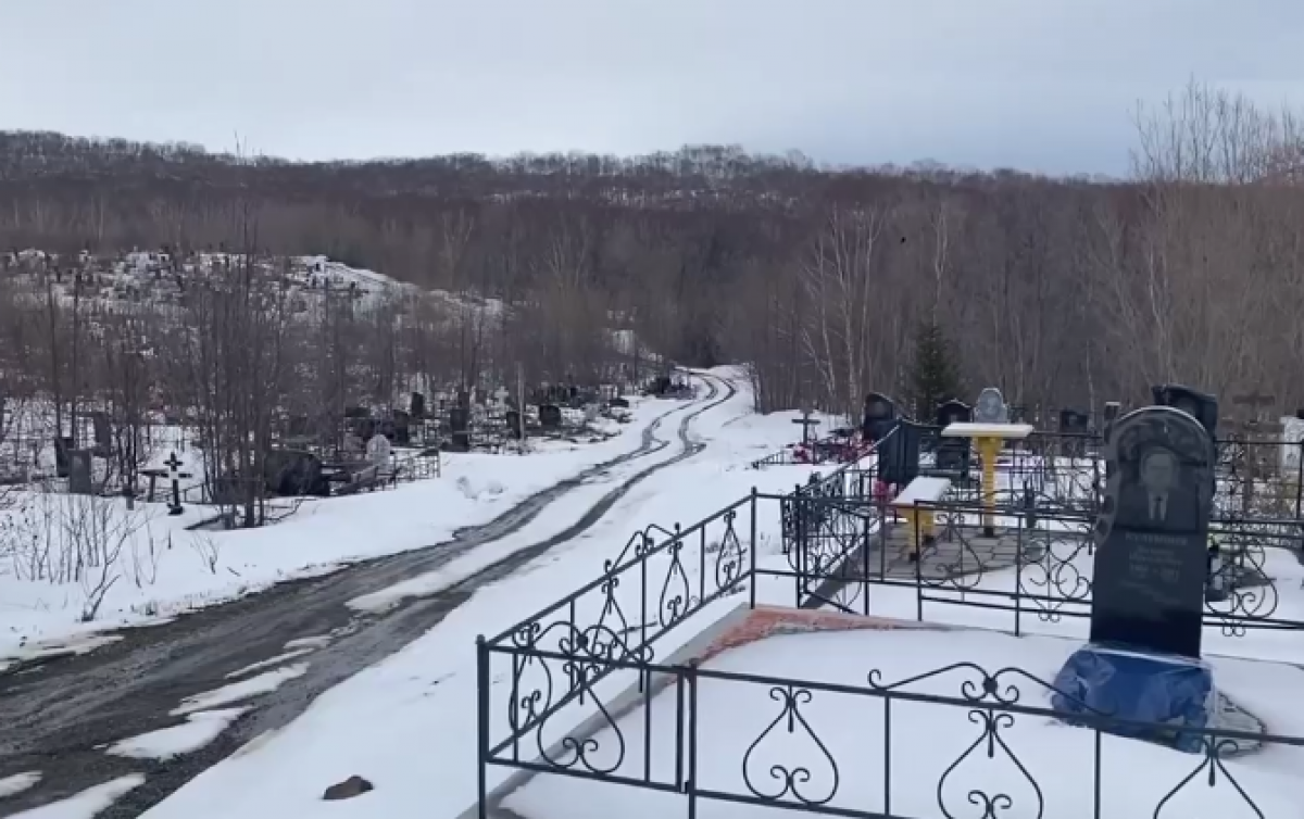   На новом кладбище в Петропавловске снова бродил медведь (видео)
