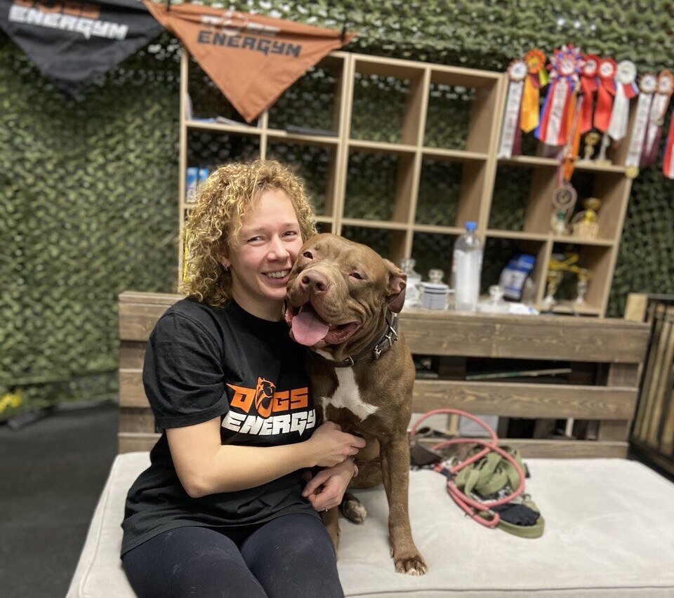 Понимают ли собаки человеческие слова?