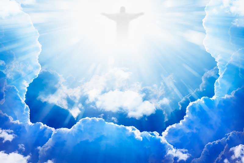 Фото из интернета. Яндекс картинки