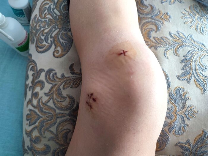 Листайте вправо, чтобы увидеть больше изображений