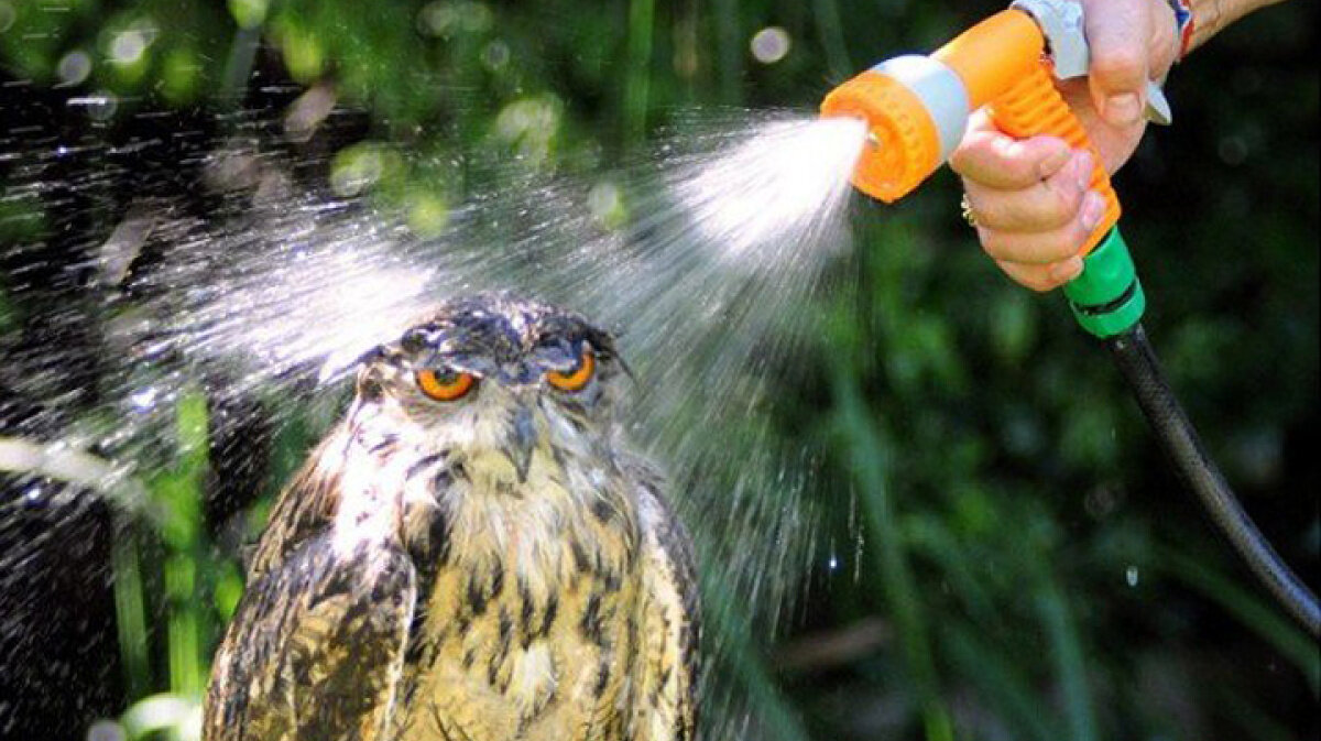 Невероятно актуальная информация - виды Саратова... Когда в ноуте увлечённо разбираешь баг... Картинка из открытых источников