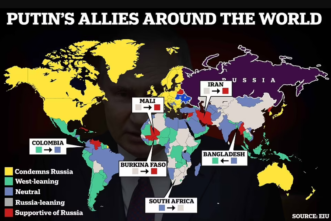 Добавьте описание