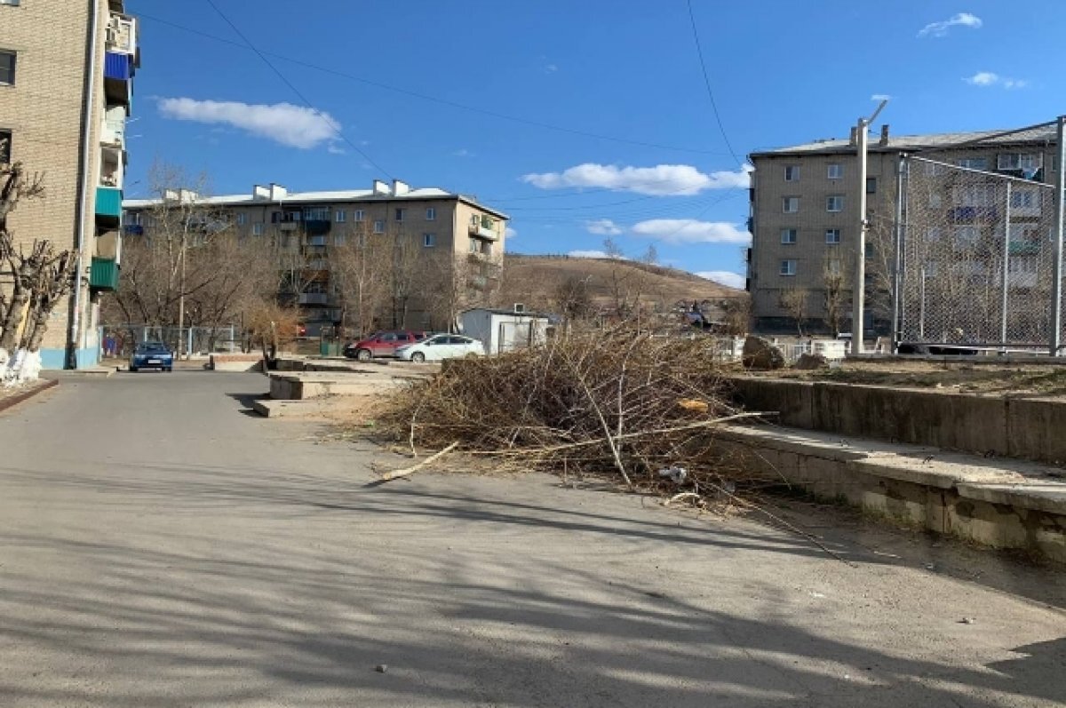    Спиленные ветки на Онискевича в Чите не убирают уже две недели