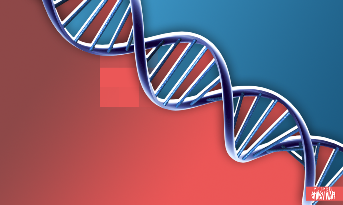 C dna