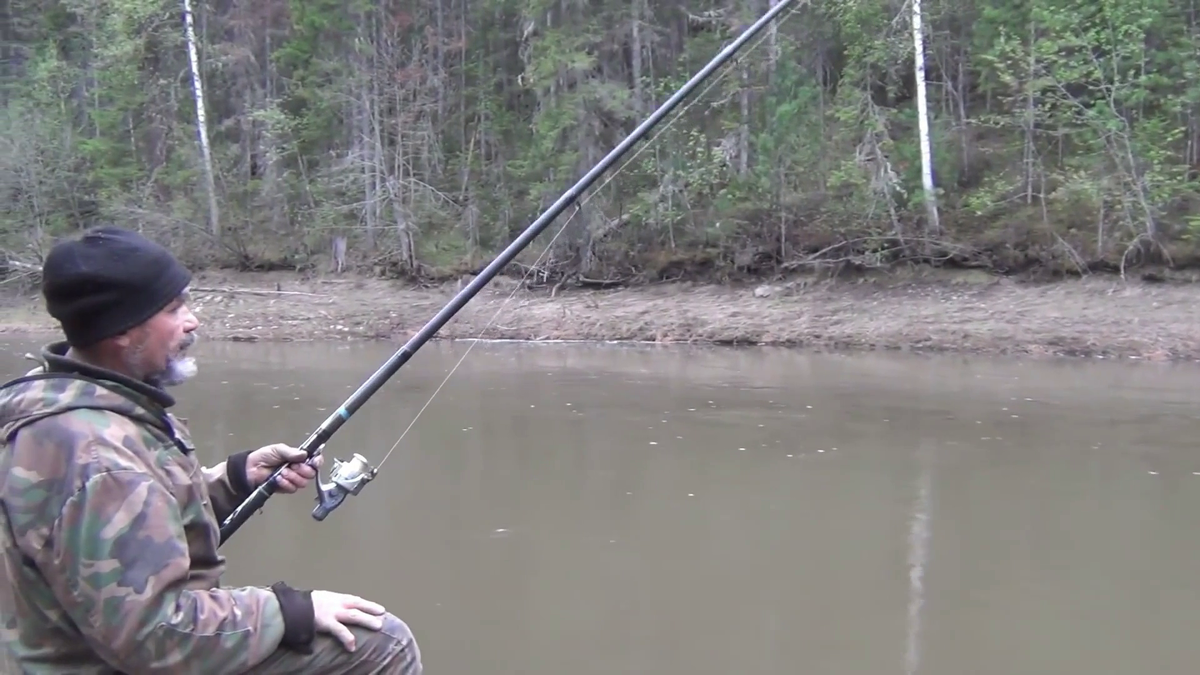 РЫБАЛКА ТАЙГА ТАЙМЕНЬ ударил ХВОСТОМ. Хвост очень ЗДОРОВЫЙ. Федорович говорит: " Вот и рыбы нет ".  Так оно и есть. - (смотрите на видео внизу статьи)