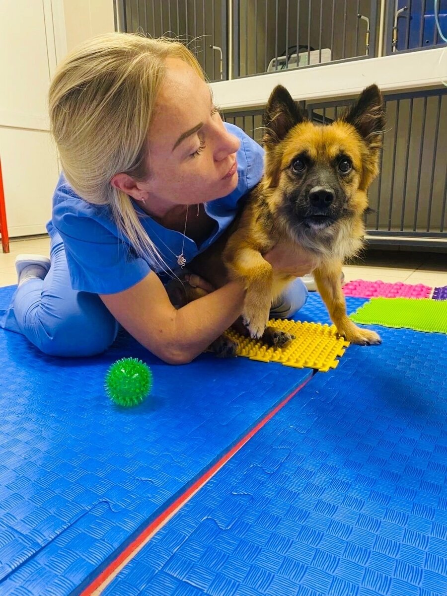 Коллектив ветклиники, где Рыжик находится уже несколько месяцев, очень его полюбил.