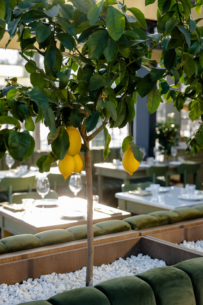    Ресторан Marso PoloФото пресс-службы