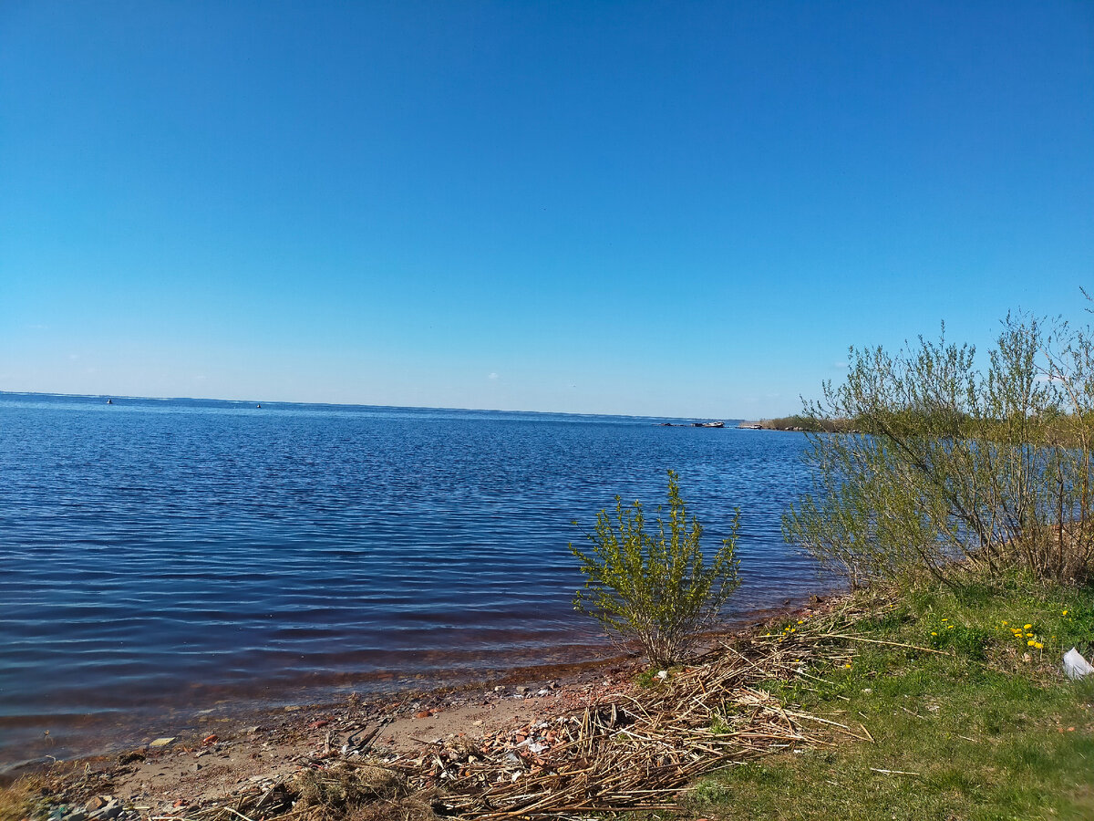 Фото автора. Вид с берега на озеро.