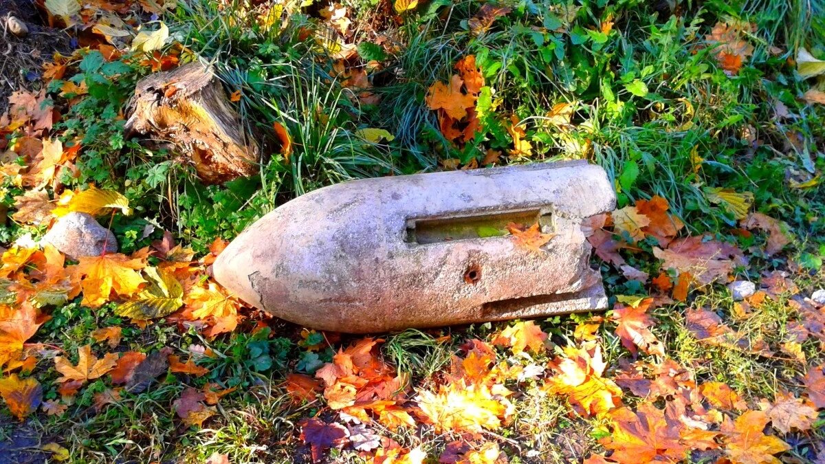 Фото: pxhere.com