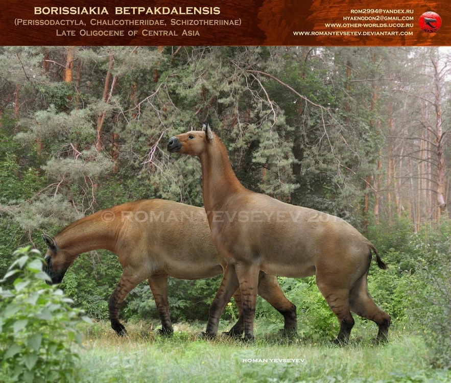 Реконструкция Романа Евсеева