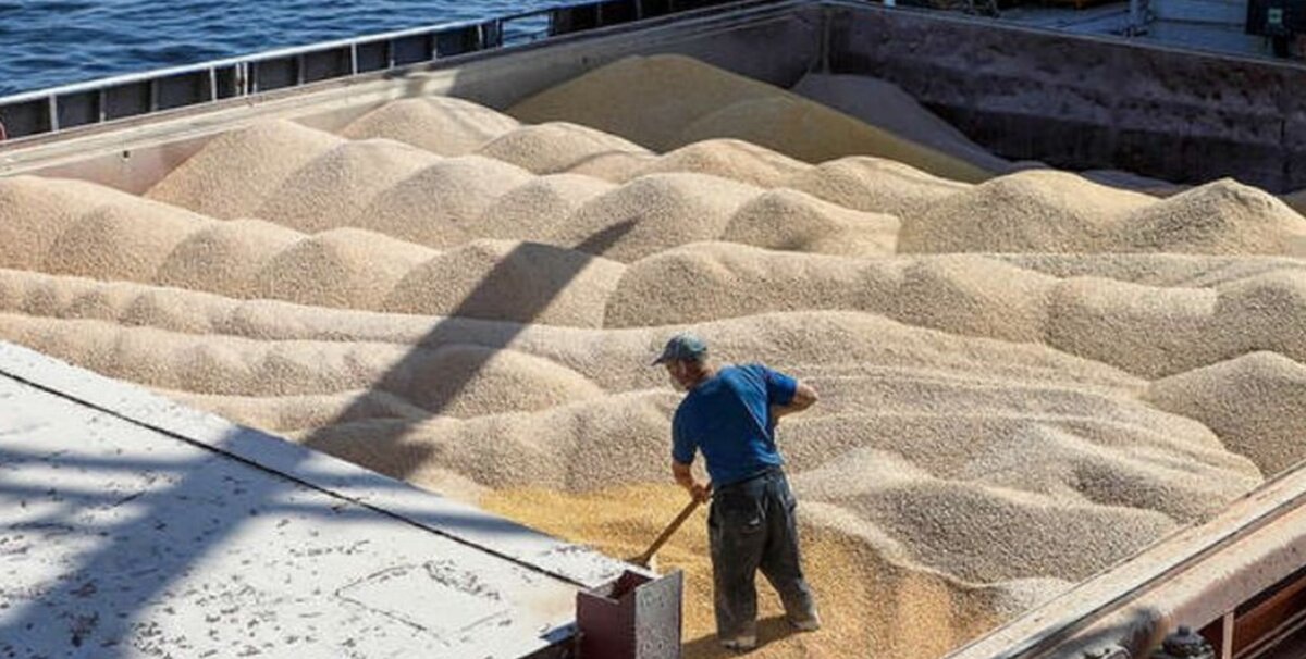 #зерноваясделка #невыгодныусловия #отсутствиеперспектив #информацияизисточника 