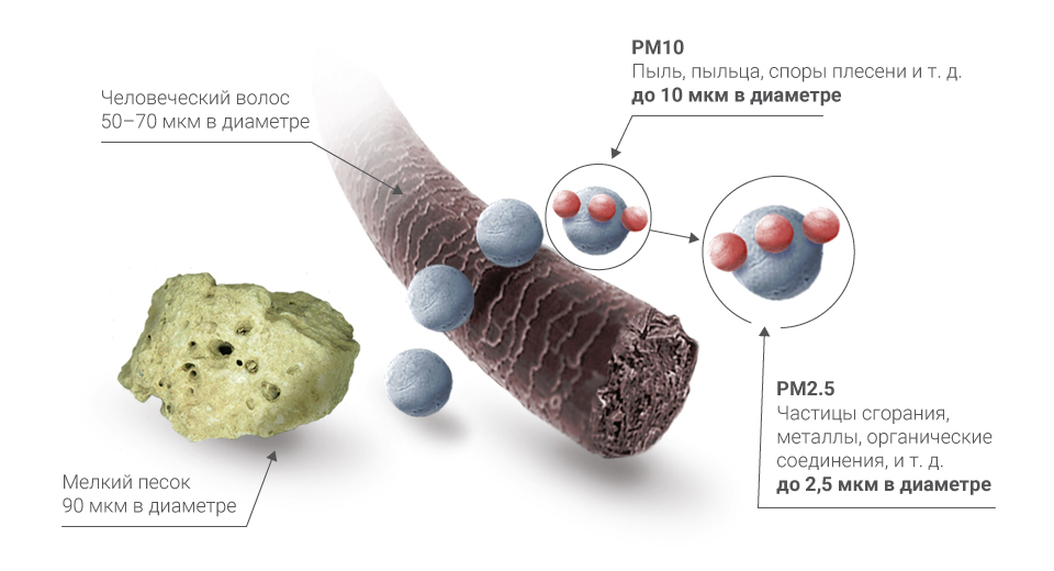 PM 2,5 в сравнении с человеческим волосом, пляжным песком и средними частицами (PM 10)