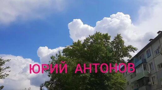 Антонов живет повсюду