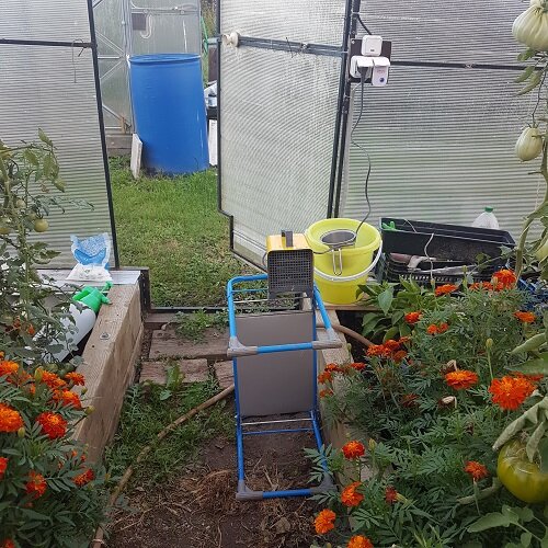 Моя томатная теплица в октябре 2022 года