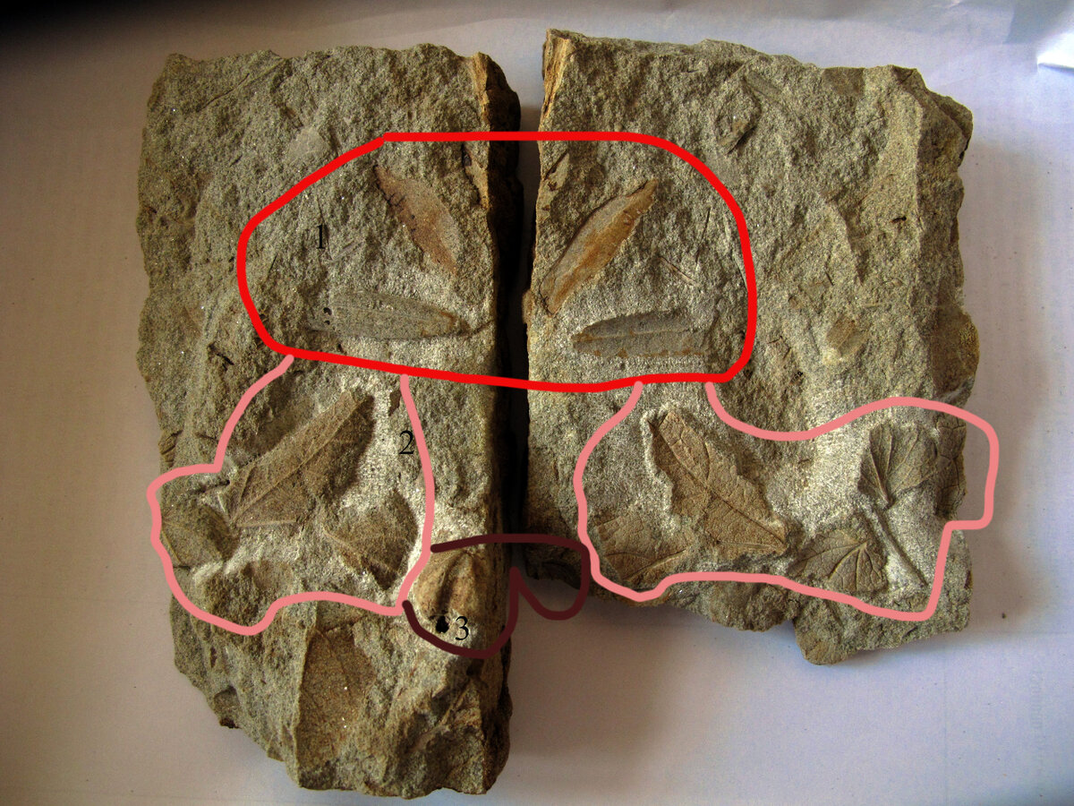 Фото музея-заповедника “Старая Сарепта”