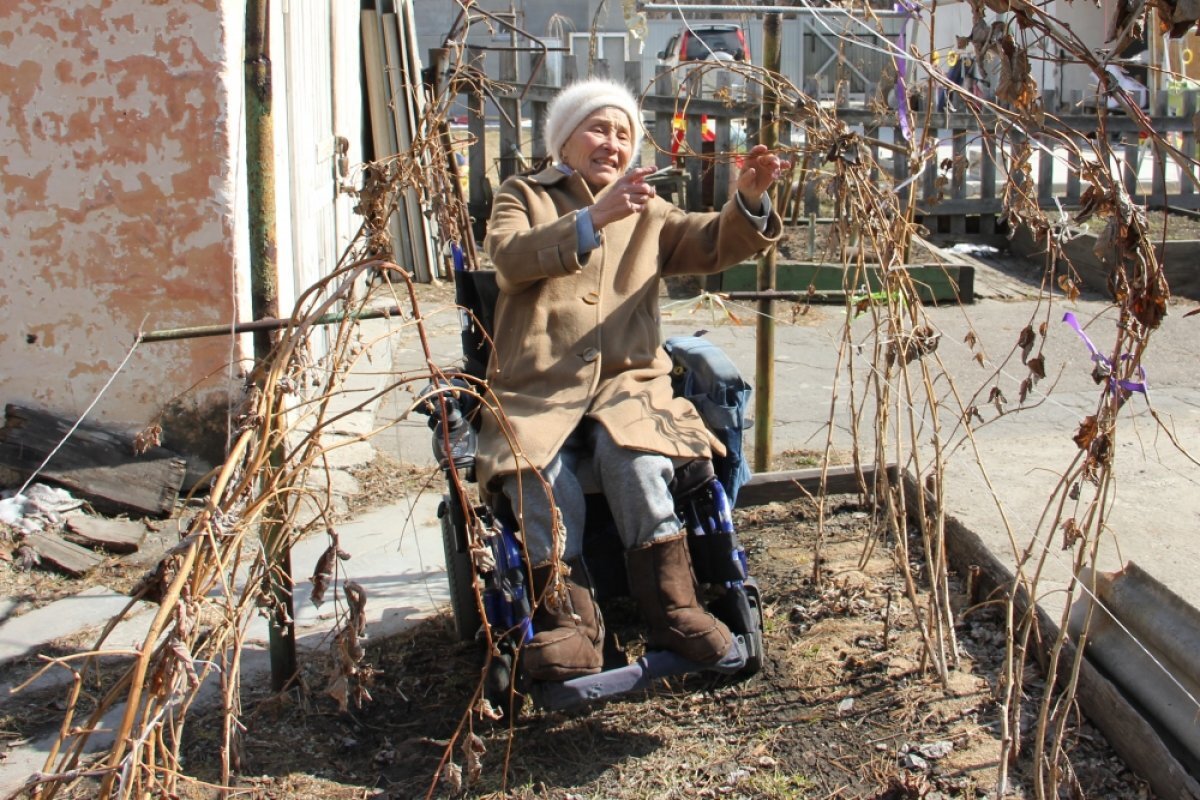    Зоя Лазаревна ухаживает за малиной. А ещё огородница выращивает помидоры, перцы, арбузы.