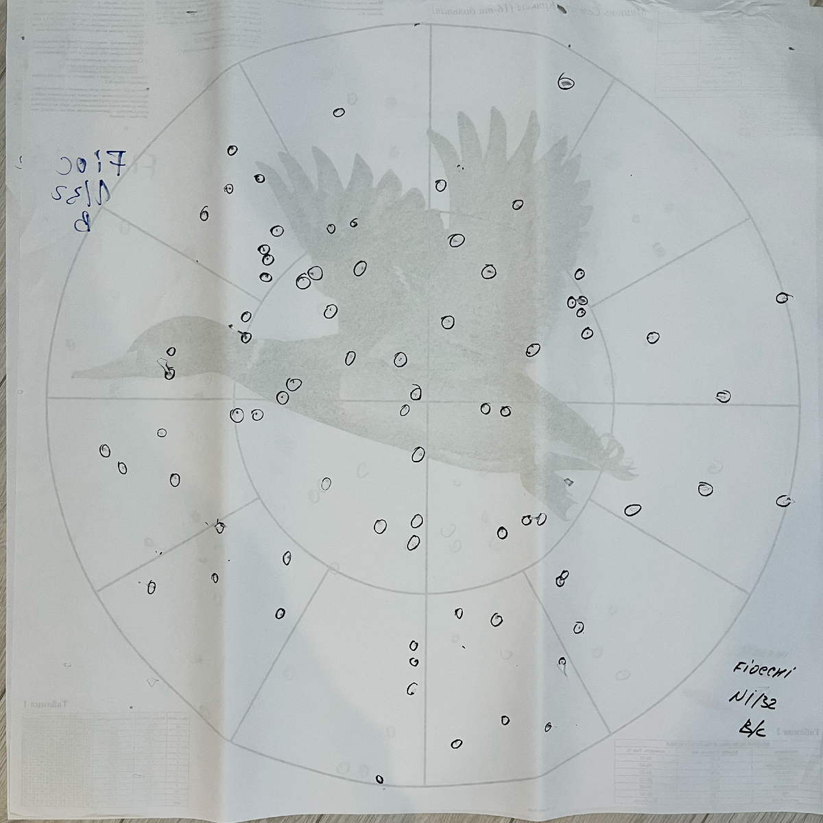 Фиокки, дробь №1, 32 грамма, верхний ствол.  