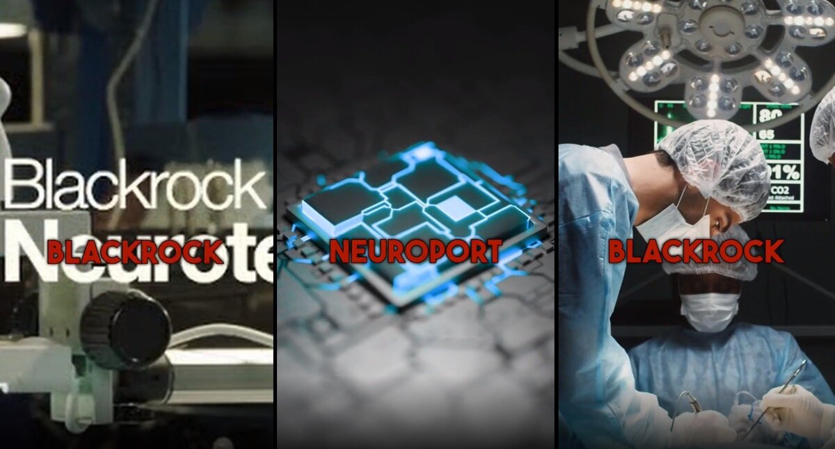 Исследователь Бенджамин Фулфорд недавно обратил внимание на то, что контролируемая Рокфеллерами и Ротшильдами международная инвестиционная компания BlackRock, располагающая 9 трлн долларами, начала производить мозговые чипы.