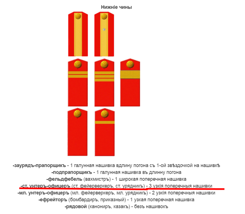 Погоны вахмистра казачьих войск фото