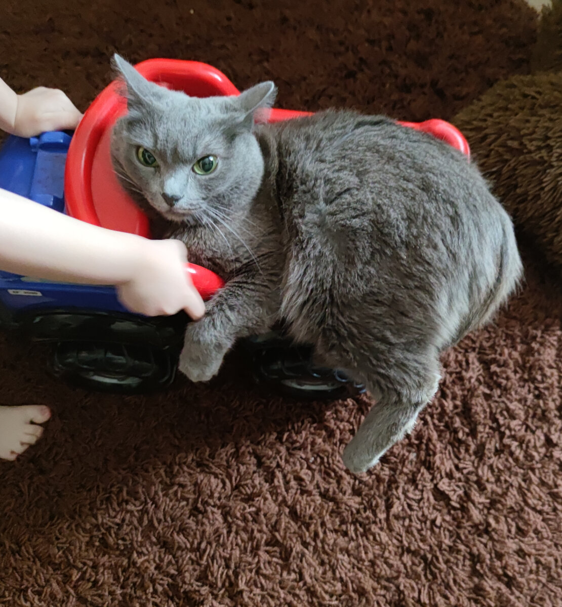 Фото автора 