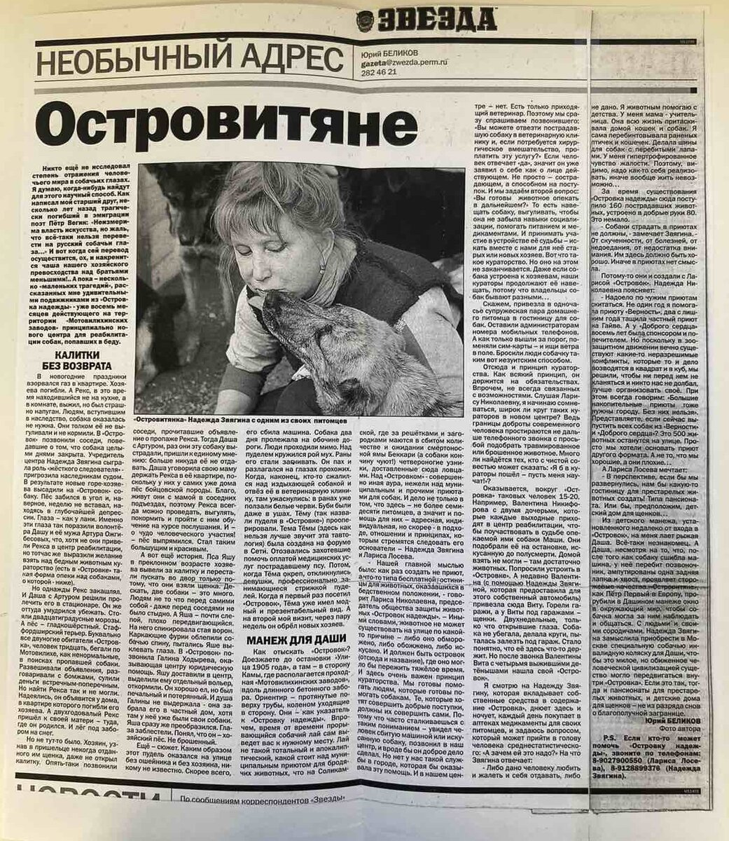 Остров надежды чат