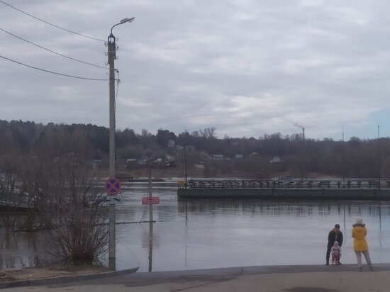     Фото: архив "МК в Калуге"