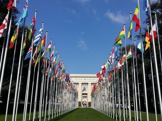 Взято из общего доступа.