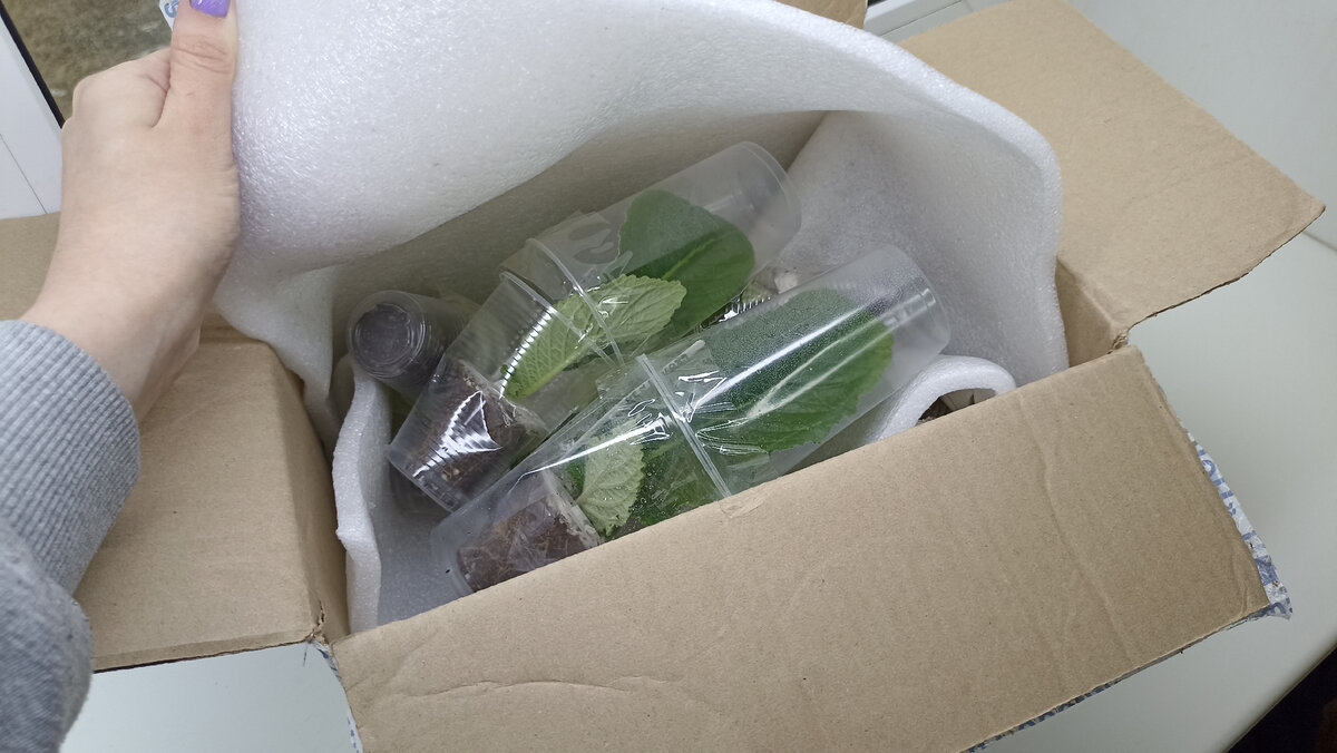 От сердца отлегло!