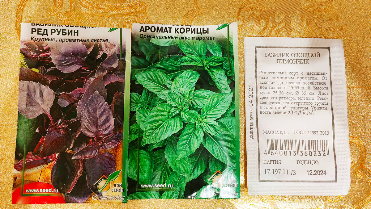 Фото из личного архива 