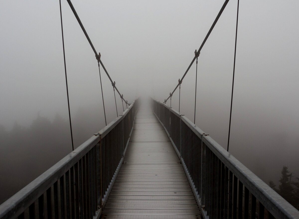 Фото из открытых источников. 