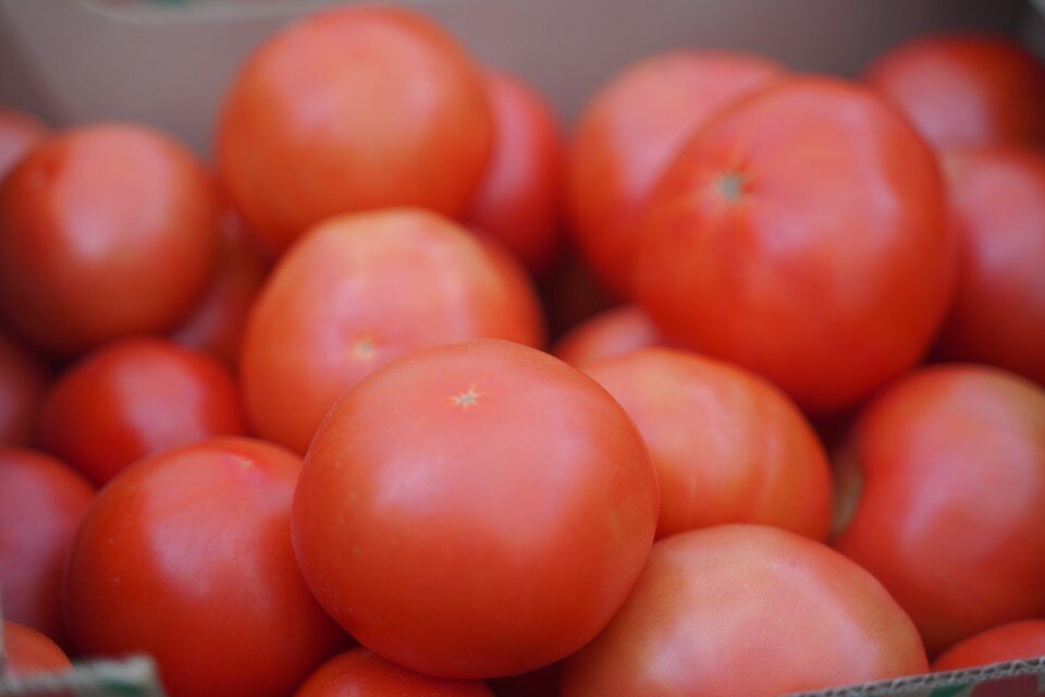     Рассаду помидоров можно сеять в начале-середине апреля. Светлана МАКОВЕЕВА