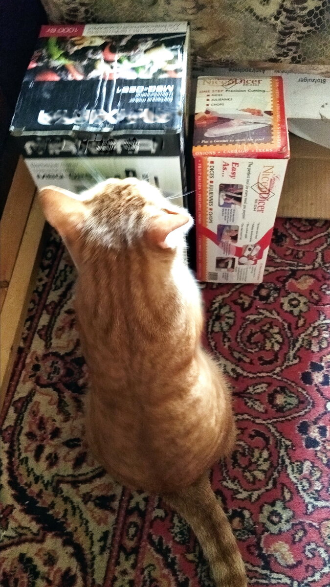 Личное  фото.