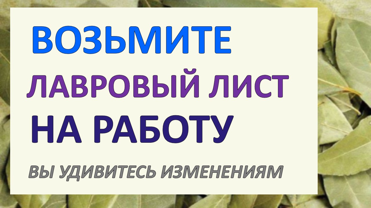 Возьмите лавровый лист на работу. Вы удивитесь изменениям. К ДОБРУ | Магия  жизни * Заговоры * Советы * Ритуалы | Дзен