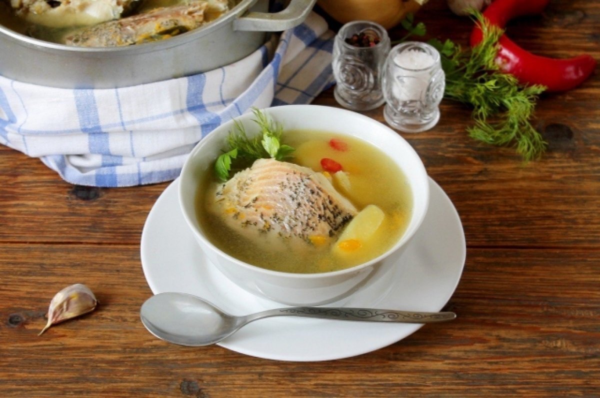    Отмечаем день супа. Необычные рецепты весенних первых блюд