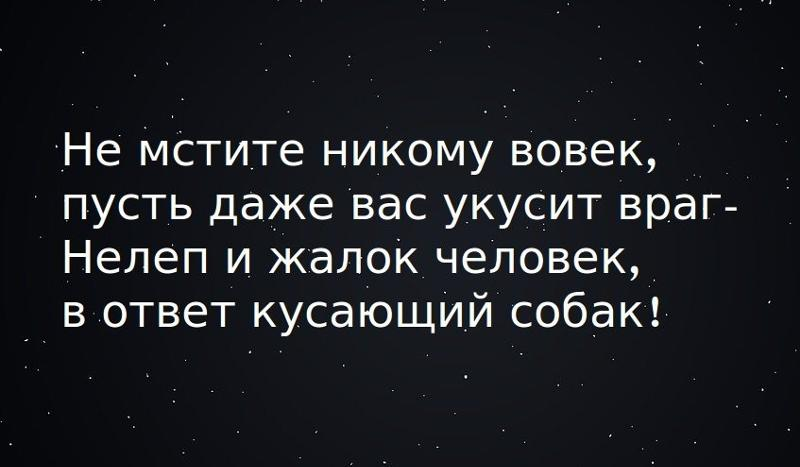 Мстить ли людям. Цитаты не мстите людям. Цитаты про мстительных людей. Фразы про месть. Цитаты про мстительность.