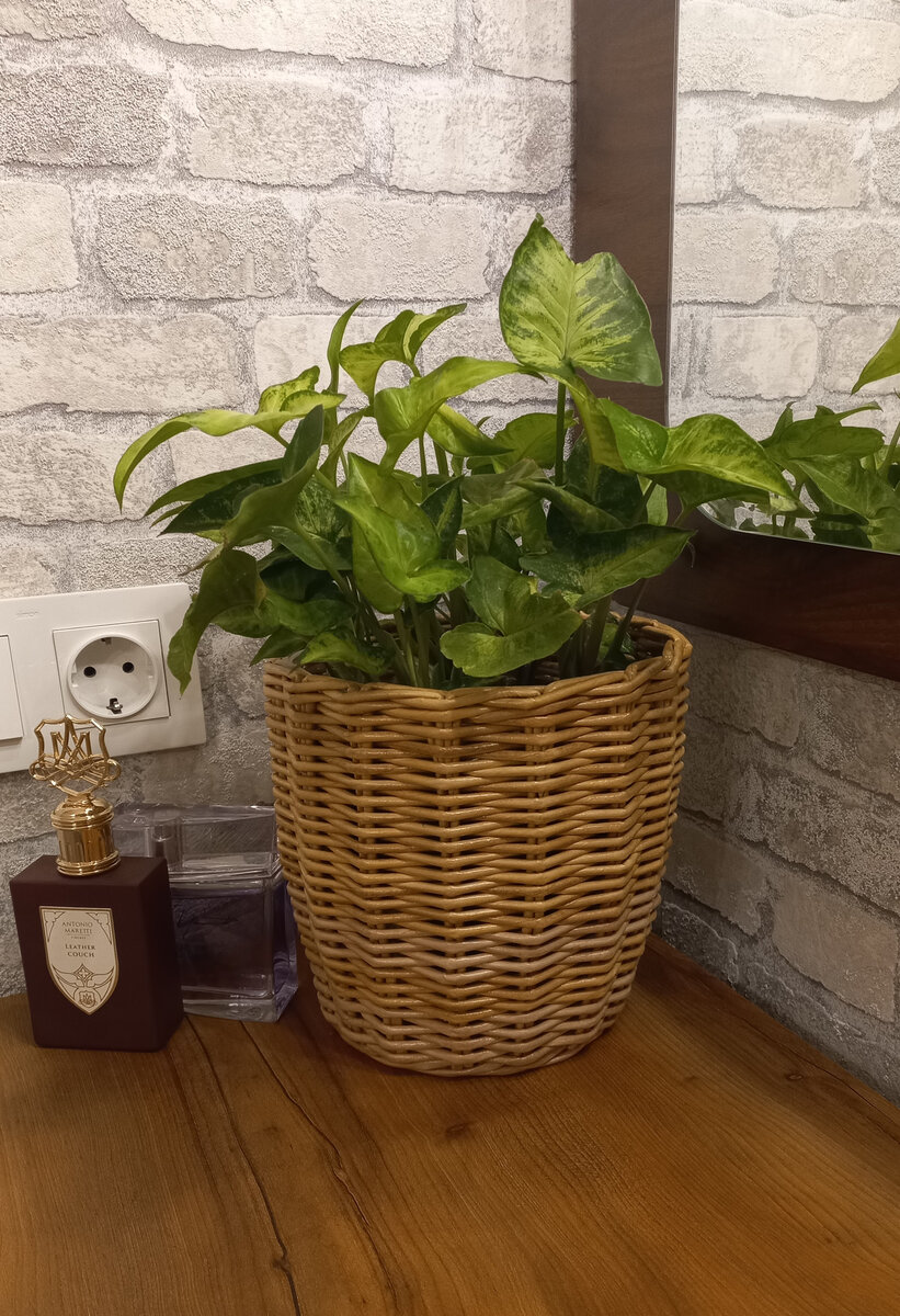 Кашпо для цветов.